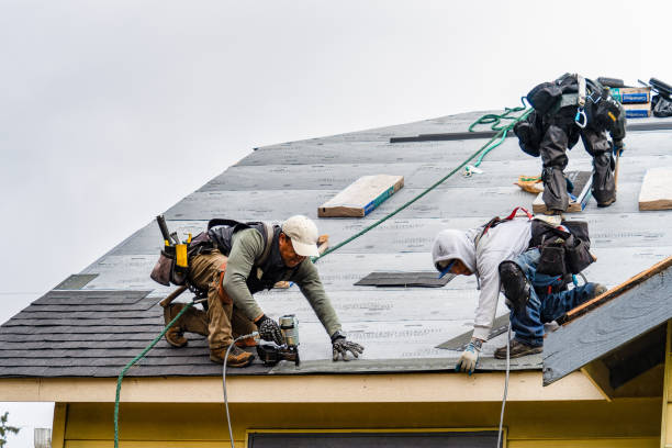 Professional Roofing technician working in Nevada City, CA